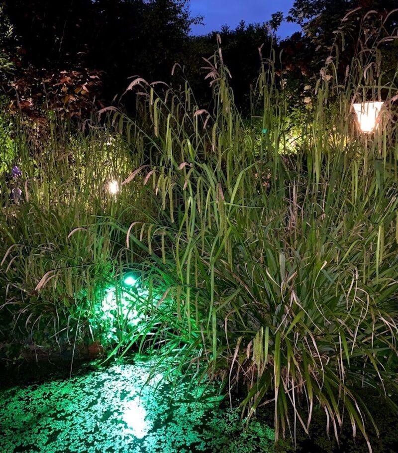 Innr luces