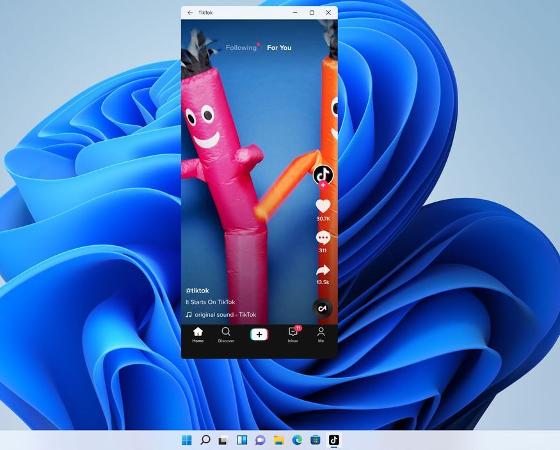 TikTok Windows 11
