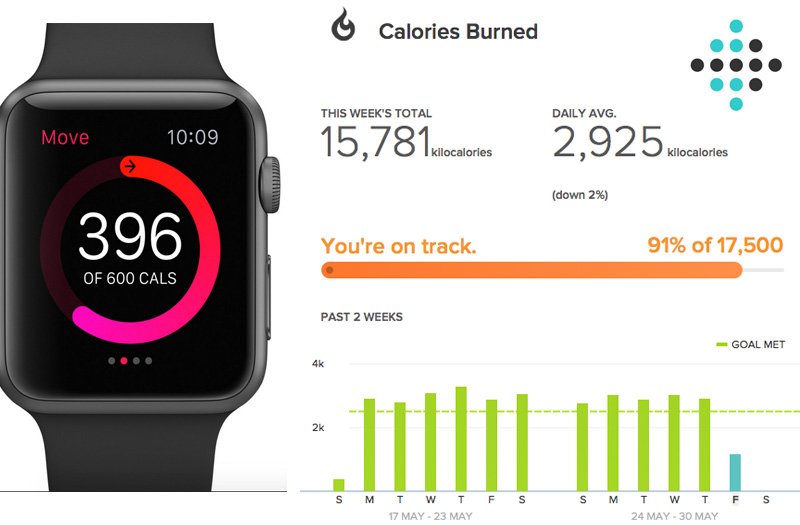 Apple Watch vs Fitbit tracker calorie counters