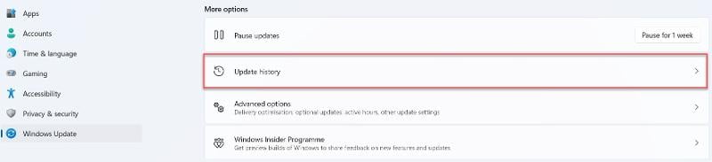 La aplicación de corrección de Windows 11 falla