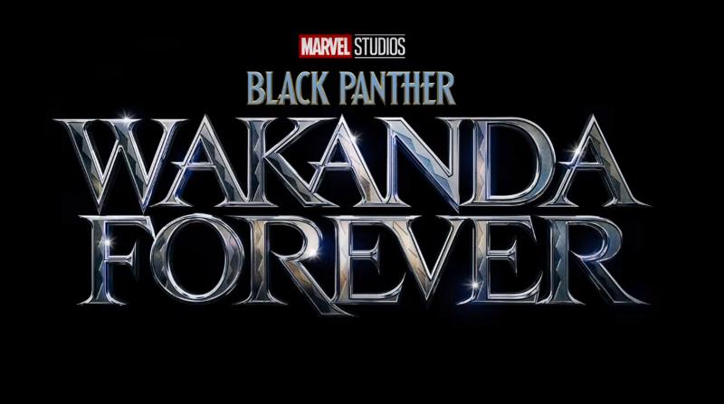 Pantera Negra Wakanda para siempre