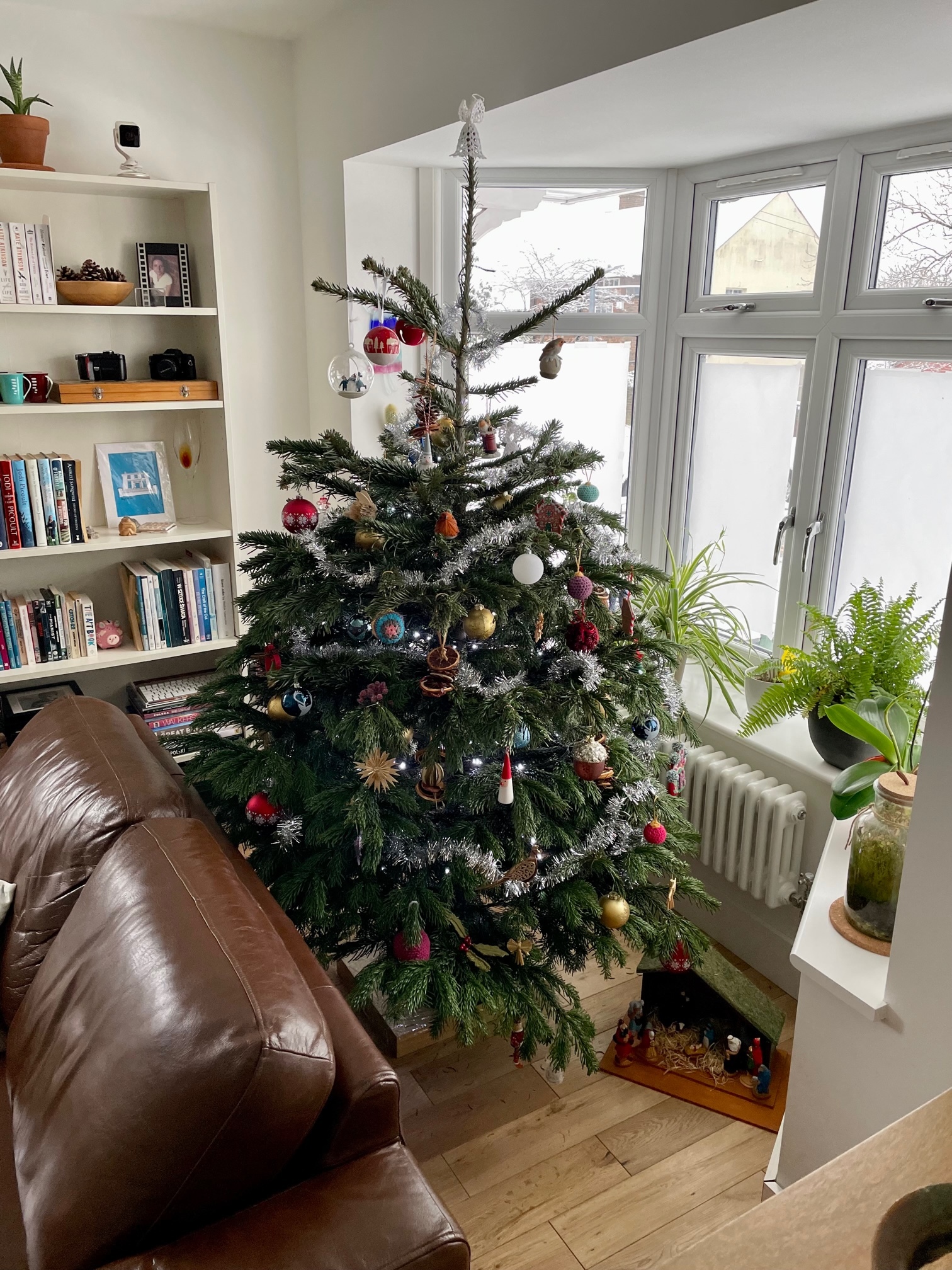 Una foto básica de un árbol de Navidad en una sala de estar