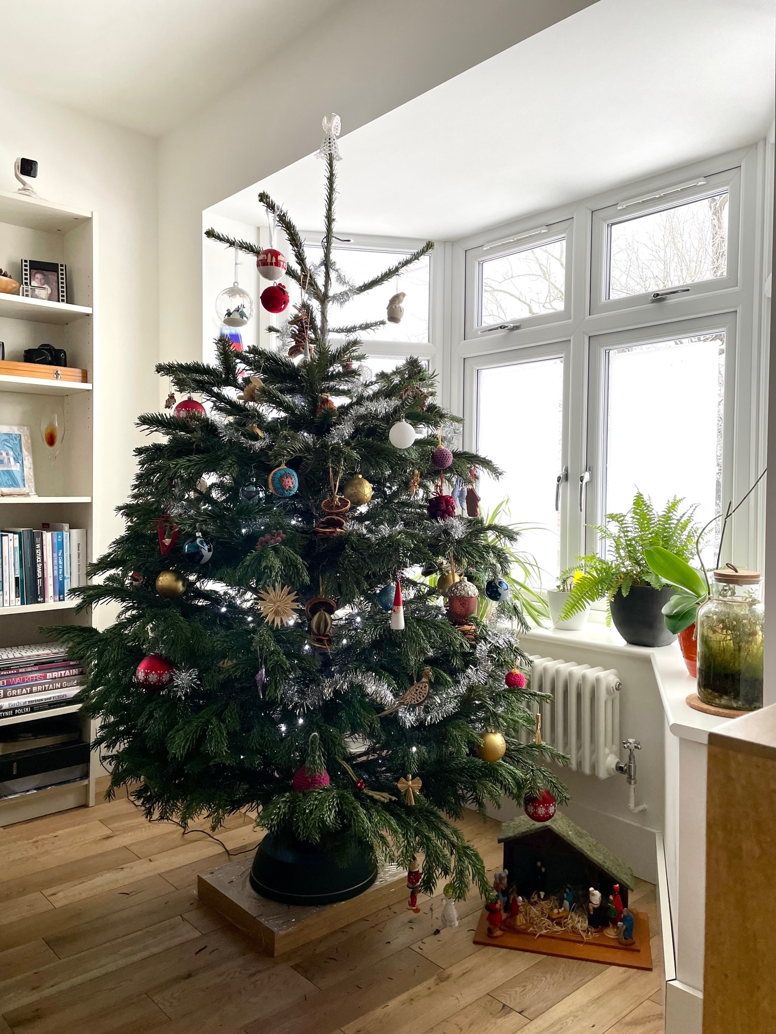 Una mejor toma de un árbol de Navidad en una sala de estar