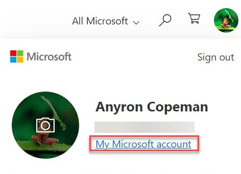 El sitio web de Microsoft abre la página