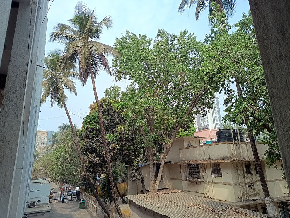 Moto G73 Camera Samples