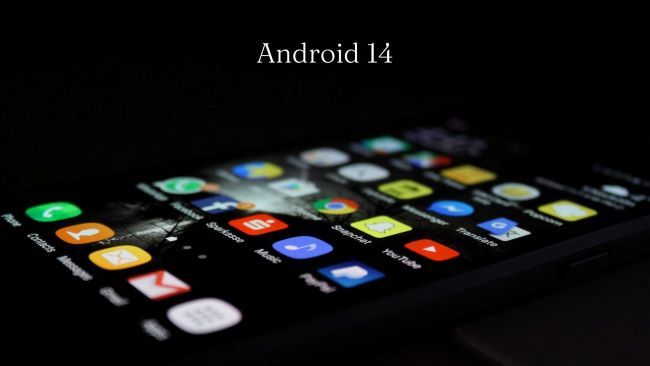 androide 14