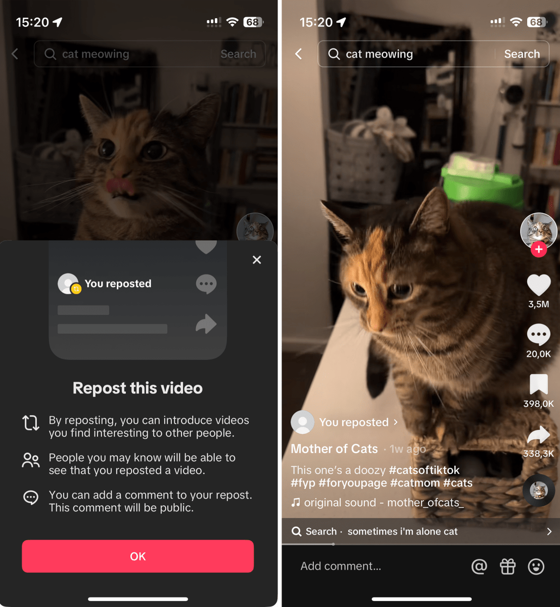 Screenshots in TikTok showing a repost option