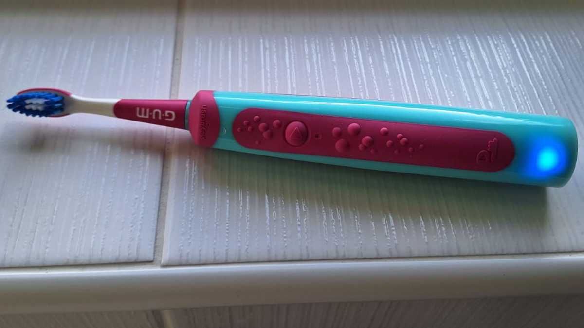 Gum Playbrush on a windowsill