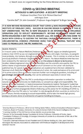 Screenshot of leaked document showing the first page of a pompous 15-page dossier from the ‘Covid Hunters’ to Cabinet minister Michael Gove claiming to identify Chinese agents of influence.