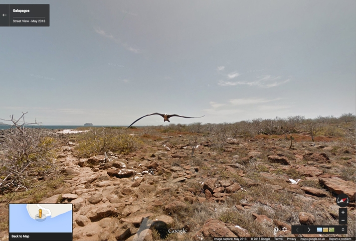Funny Google Street View Funny Google Street View